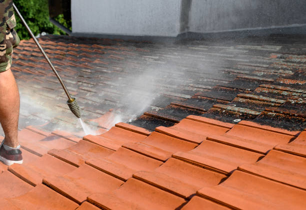 Best Power Washing Near Me  in Headland, AL