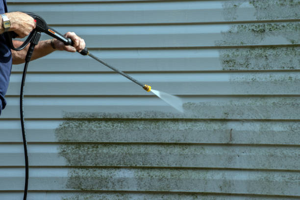 Best Local Pressure Washing Services  in Headland, AL