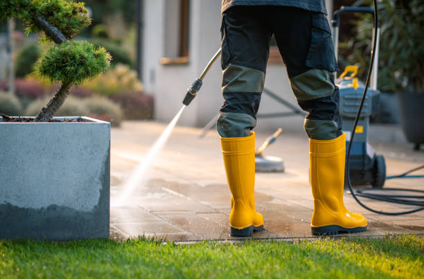 Best Roof Pressure Washing  in Headland, AL